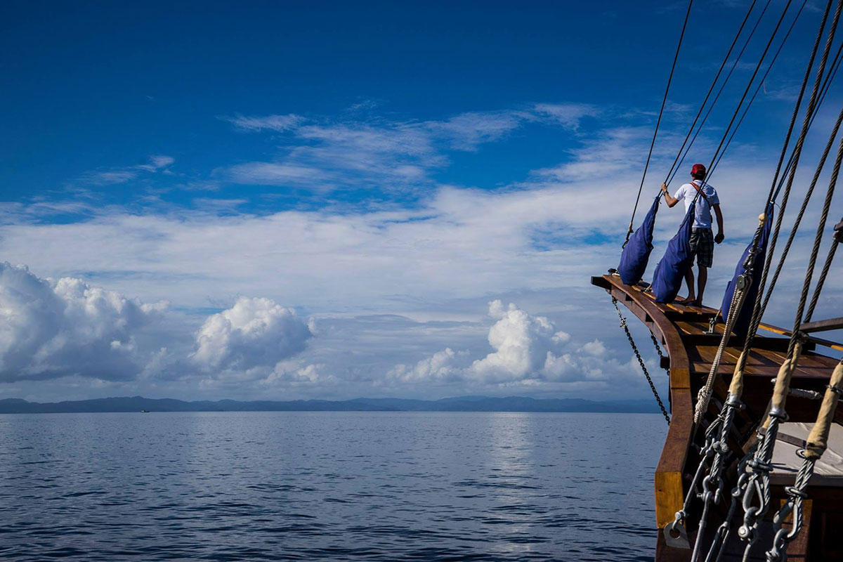 Diving Trips