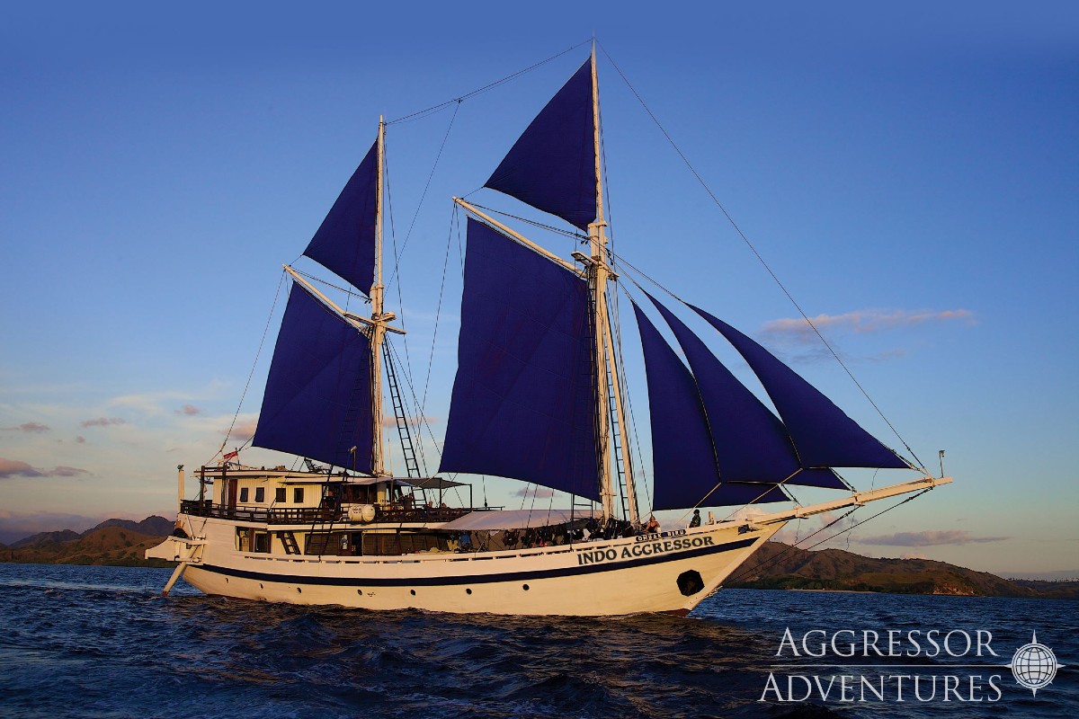 Aggressor Specials Cruising Indonesia