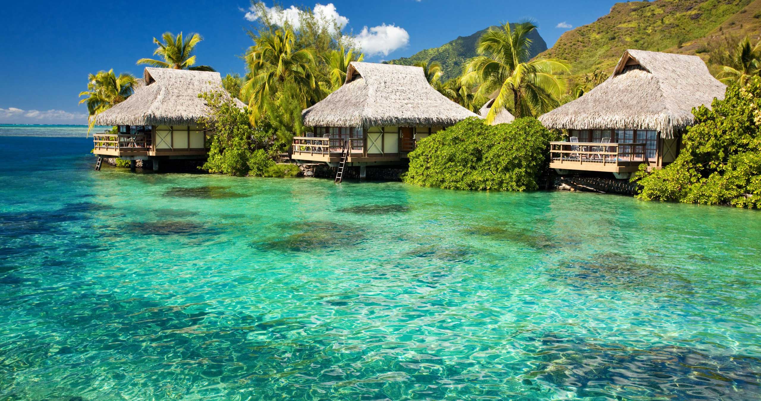 Best dive resorts in Indonesia the best secluded dive resorts in Indonesia