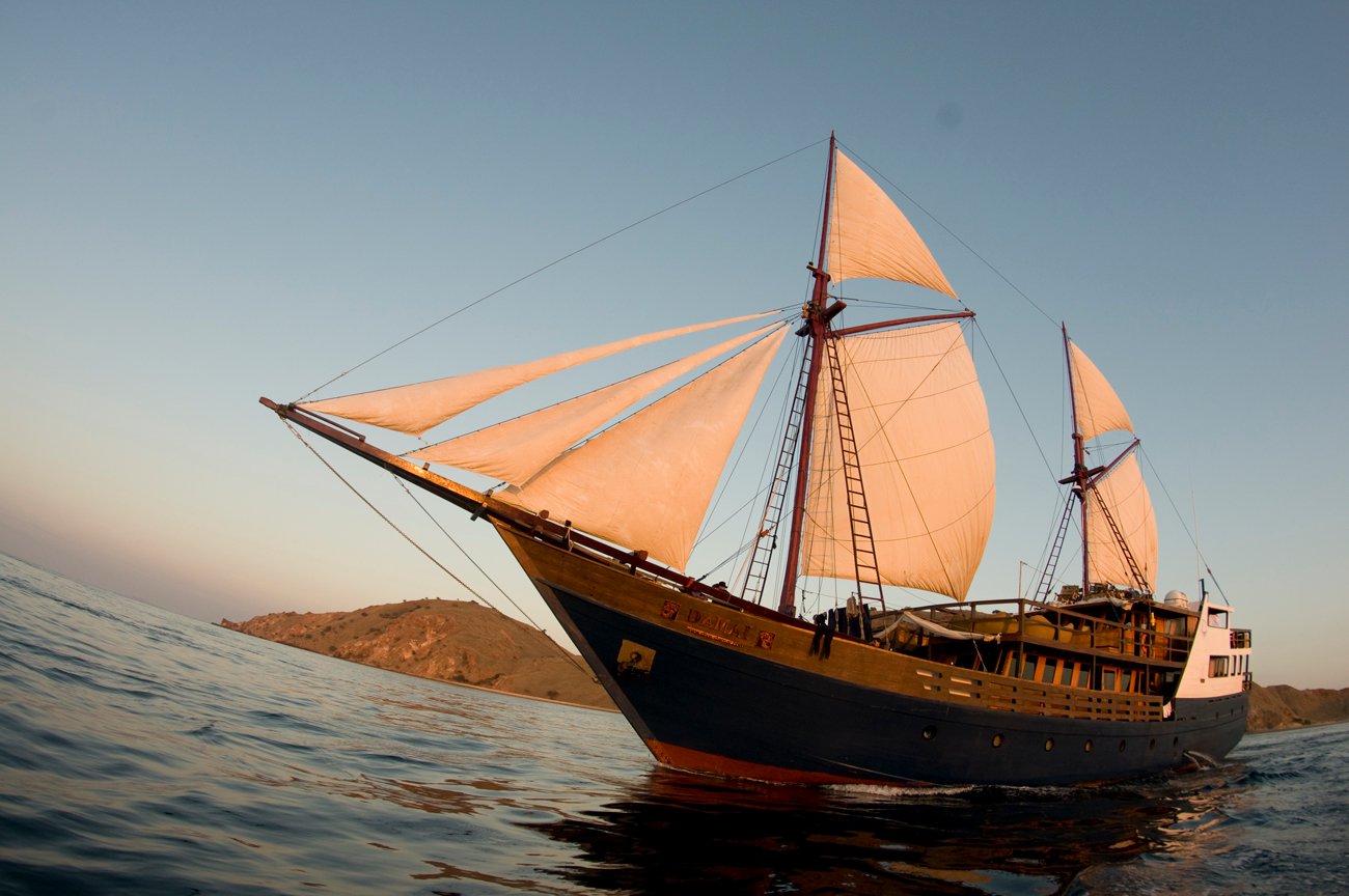 Damai Liveaboard Cruising Indonesia Dive cruises in Indonesia with Damai Liveaboard