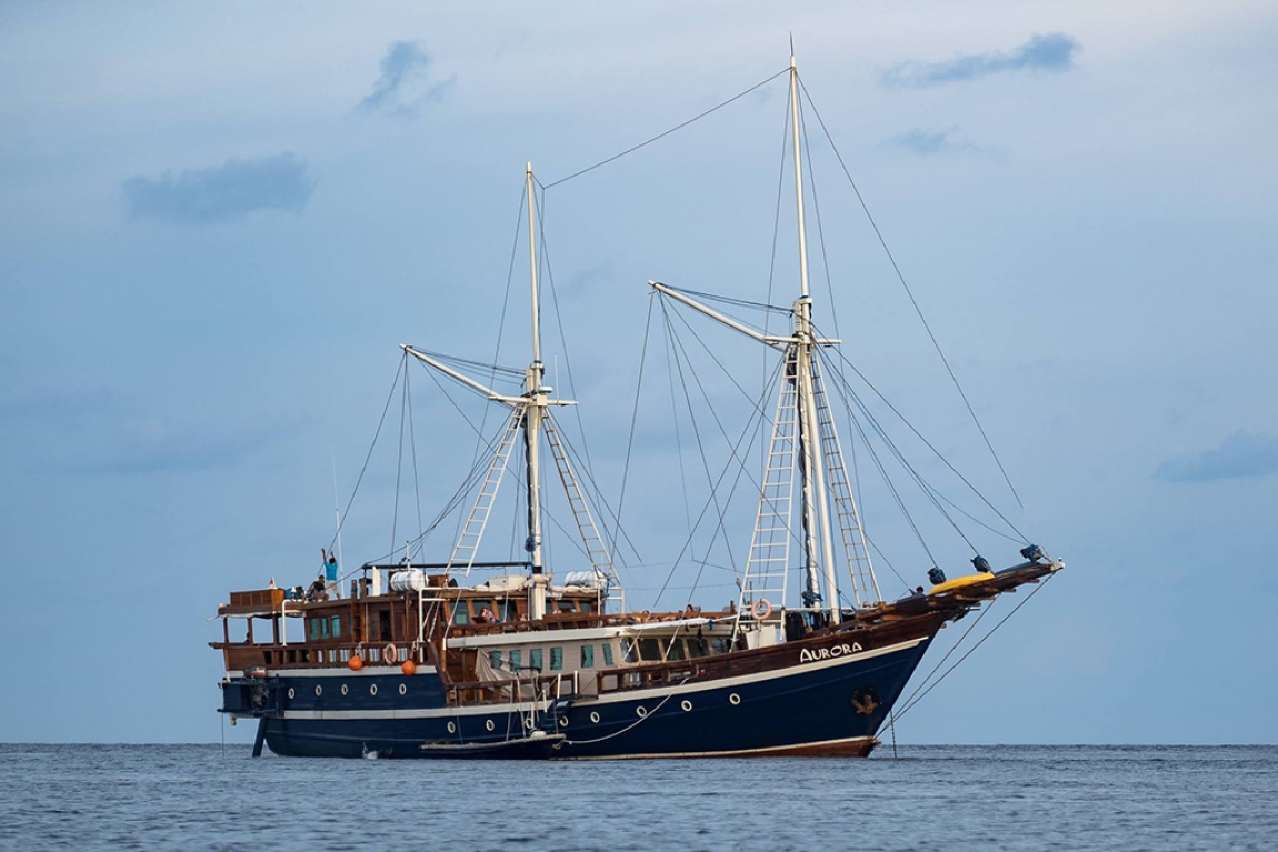 Dune Aurora charters Cruising Indonesia