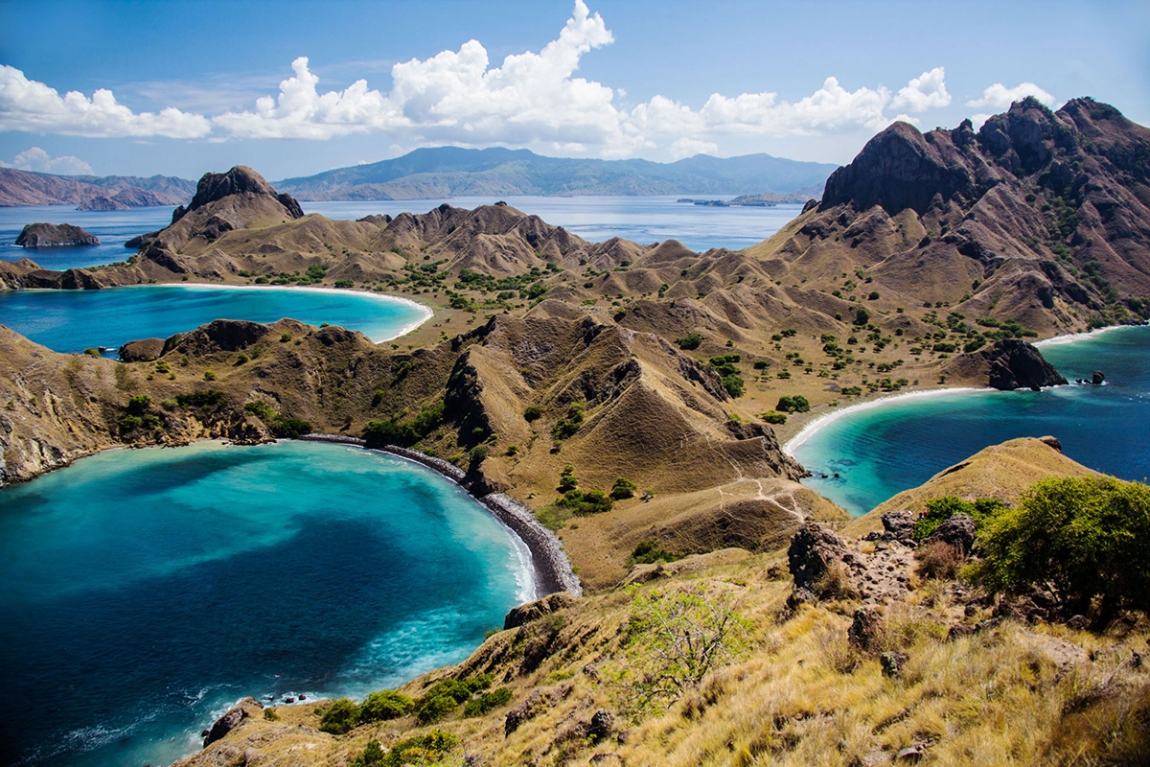 Komodo