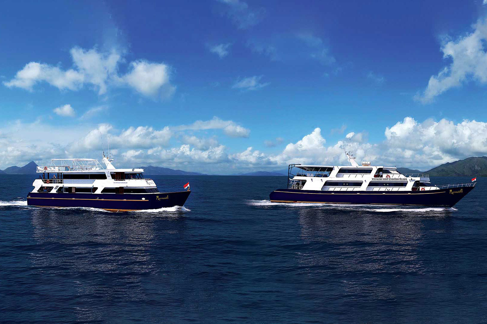 Mermaid charters Cruising Indonesia