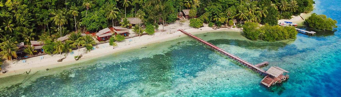 Diving Raja Ampat with Cove Eco Resort Cove Eco Resort in Raja Ampat