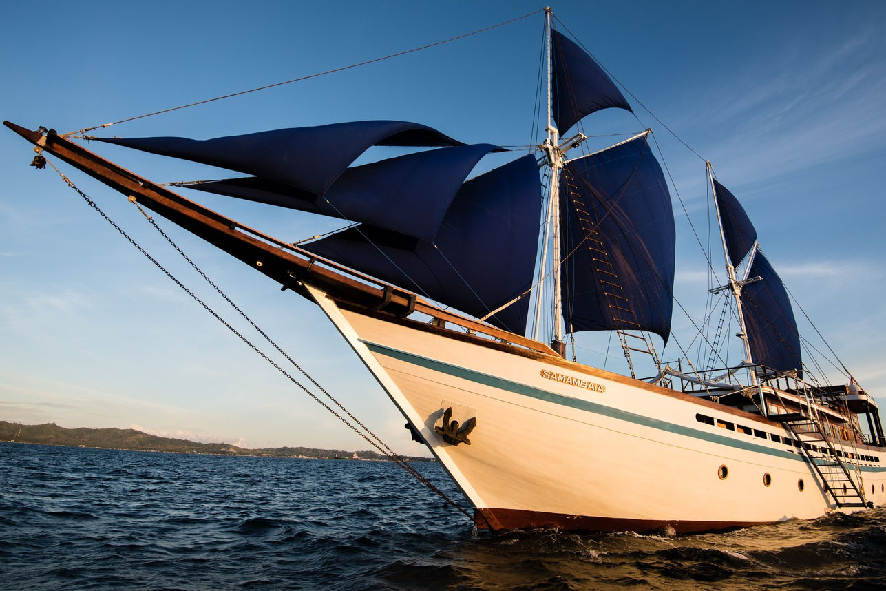 Samambaia is a Phinisi designed by Cruising Indonesia