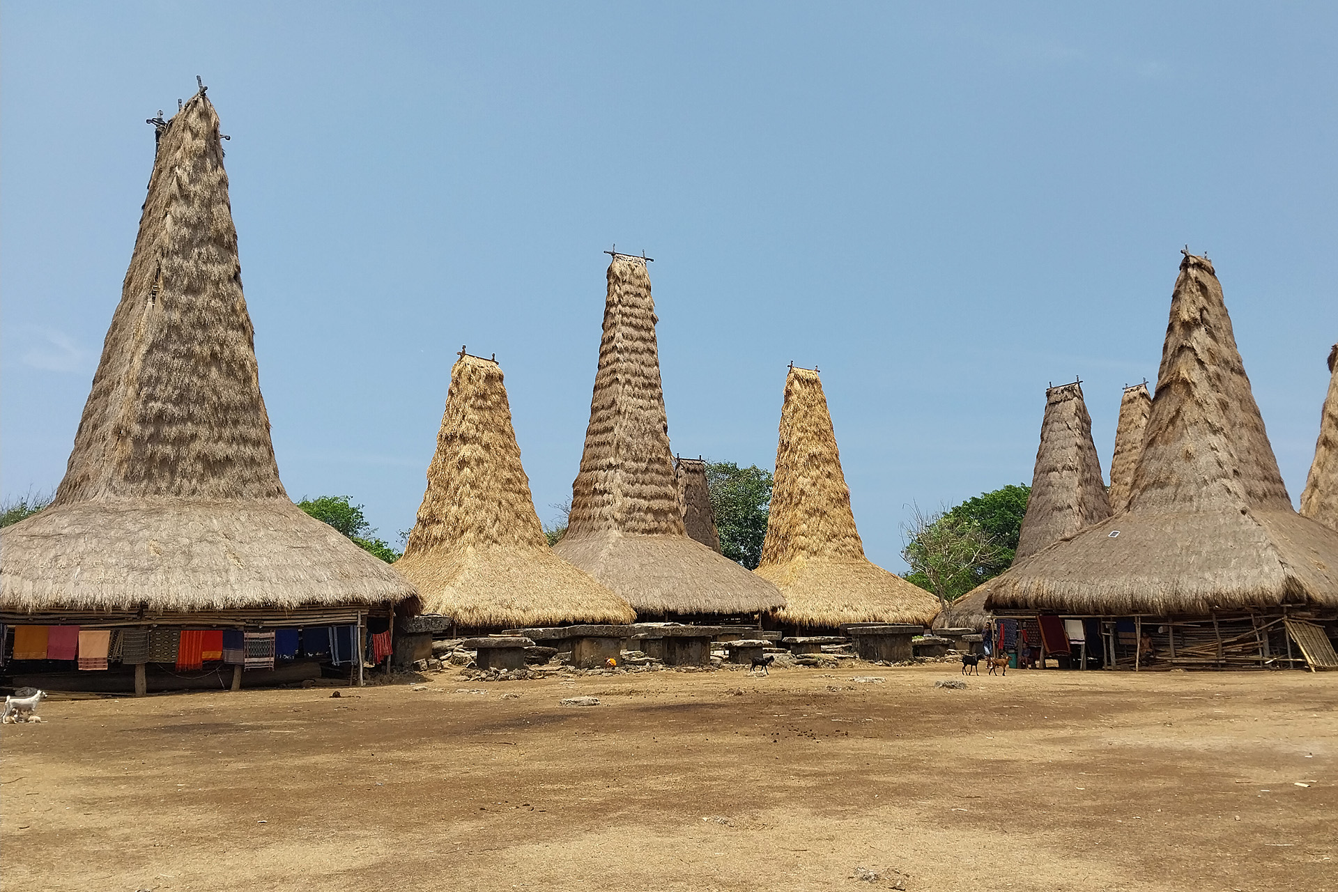 Ratenggaro village and its impressive megalithic tombs