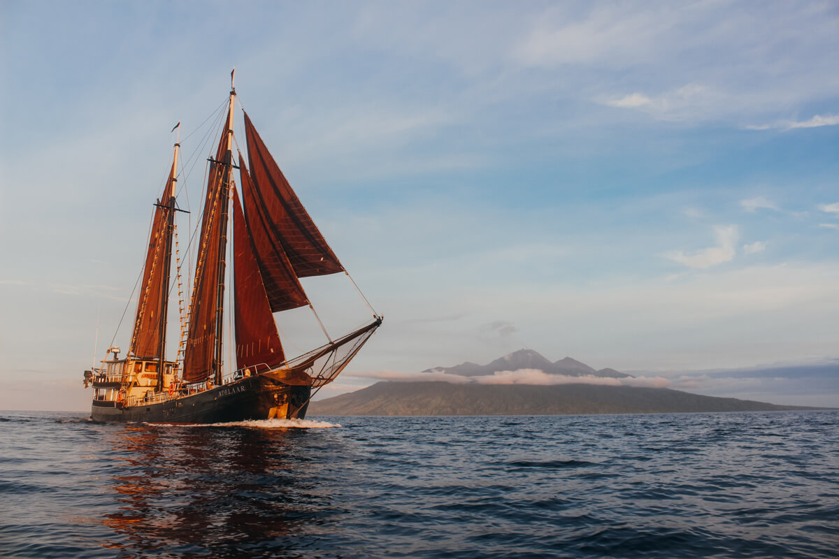 Adelaar Charters Cruising Indonesia