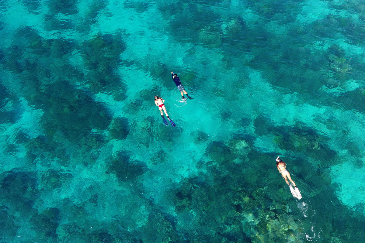 Adelaar Charters Cruising Indonesia