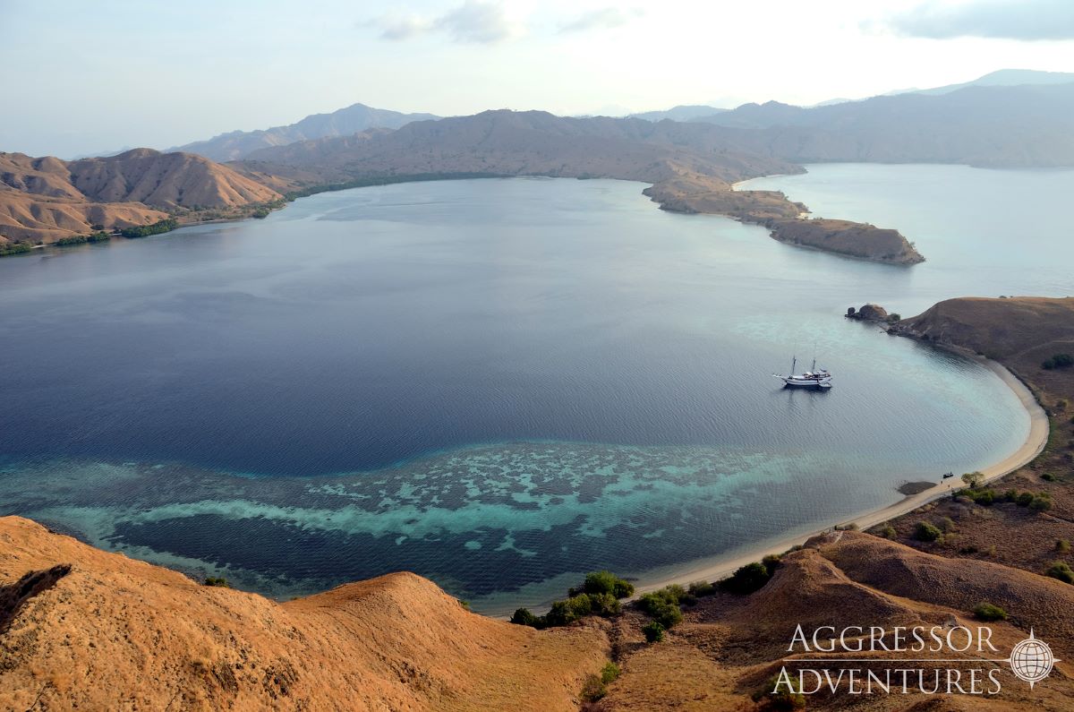 Komodo dive cruises deals