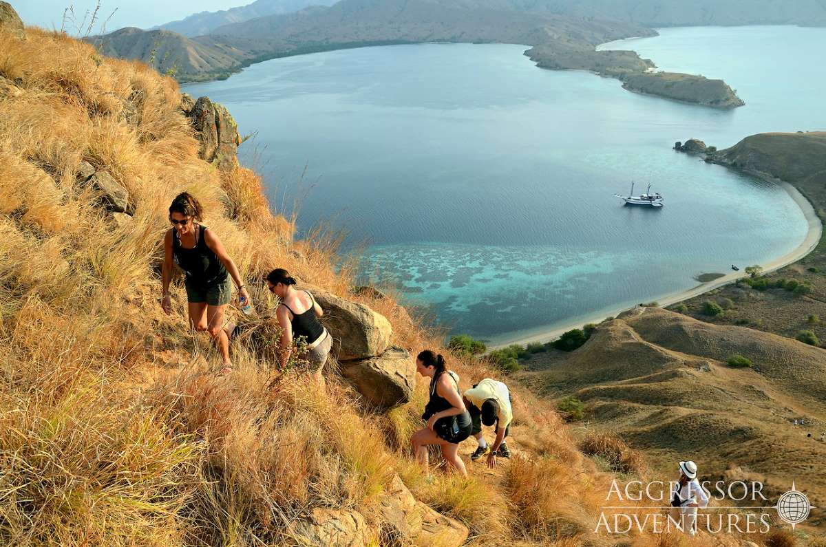 Komodo dive cruises deals