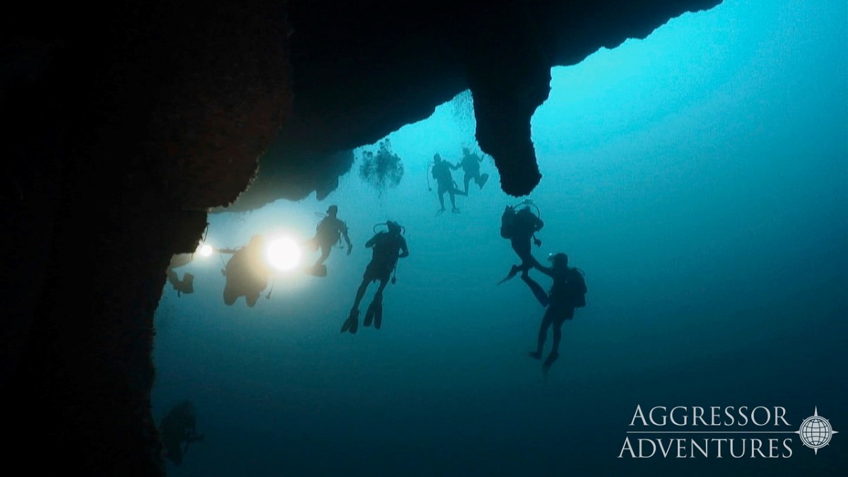 Belize dive cruises deals