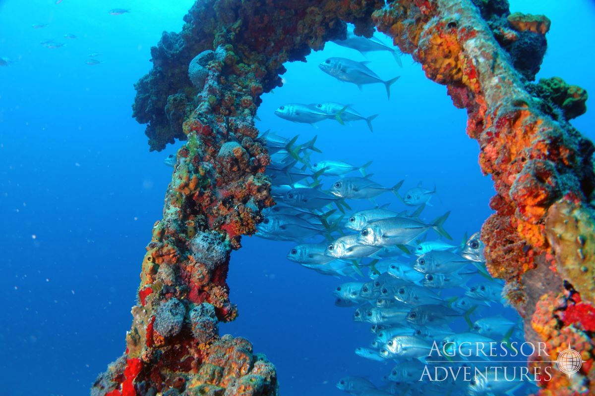 British Virgin Islands dive cruises deals