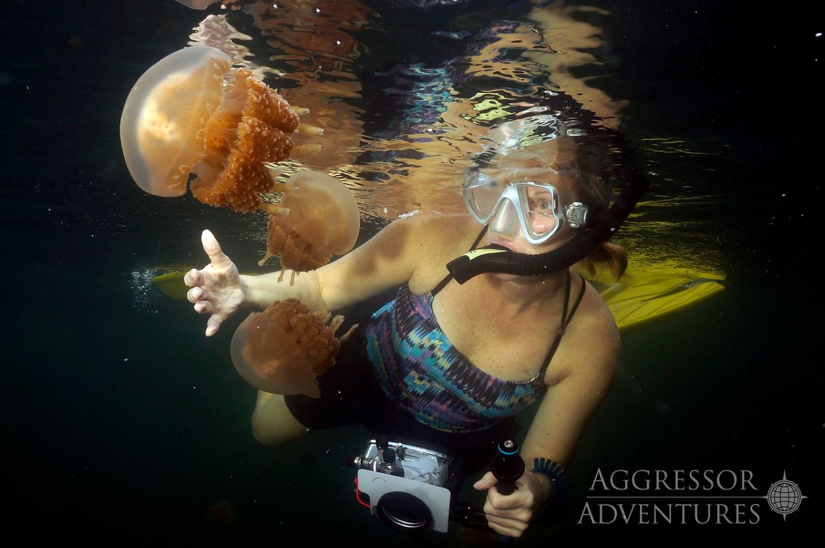 Palau dive cruises deals