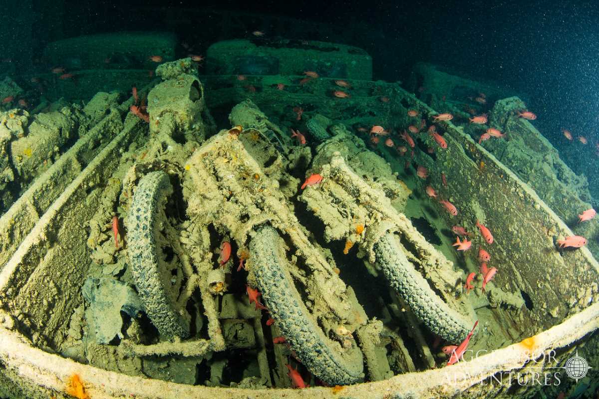 Red Sea dive cruises deals