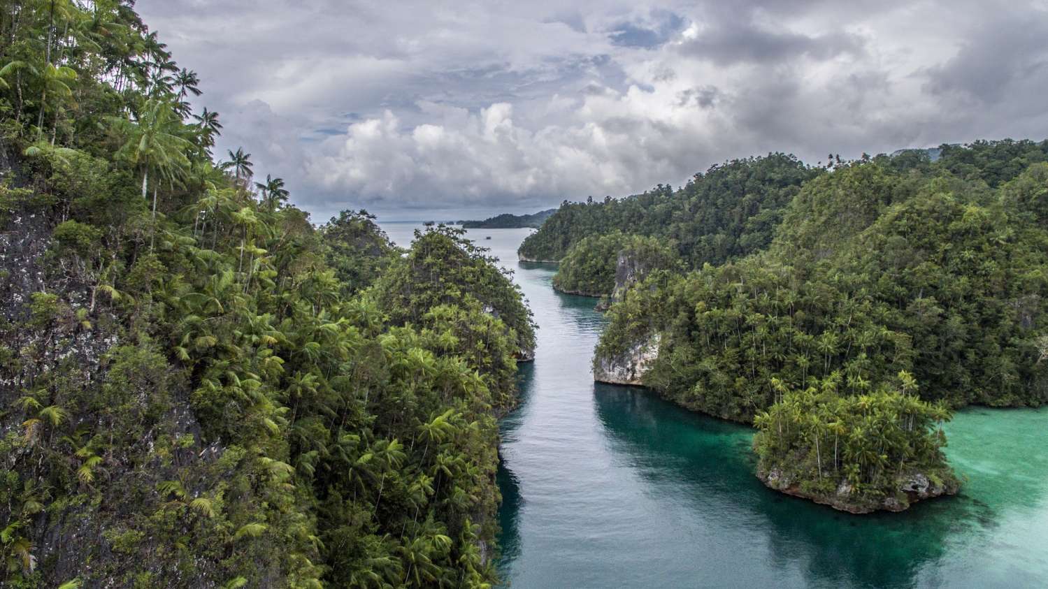 Ambai Liveaboard scuba diving in Raja Ampat