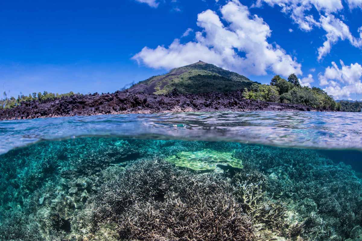 Ambai Liveaboard scuba diving in Halmahera