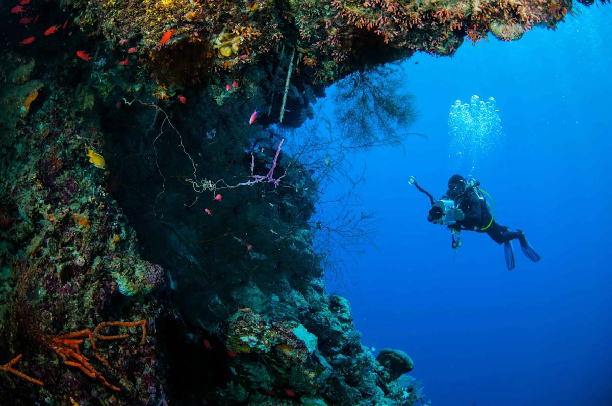 Ambai Liveaboard scuba diving in Halmahera
