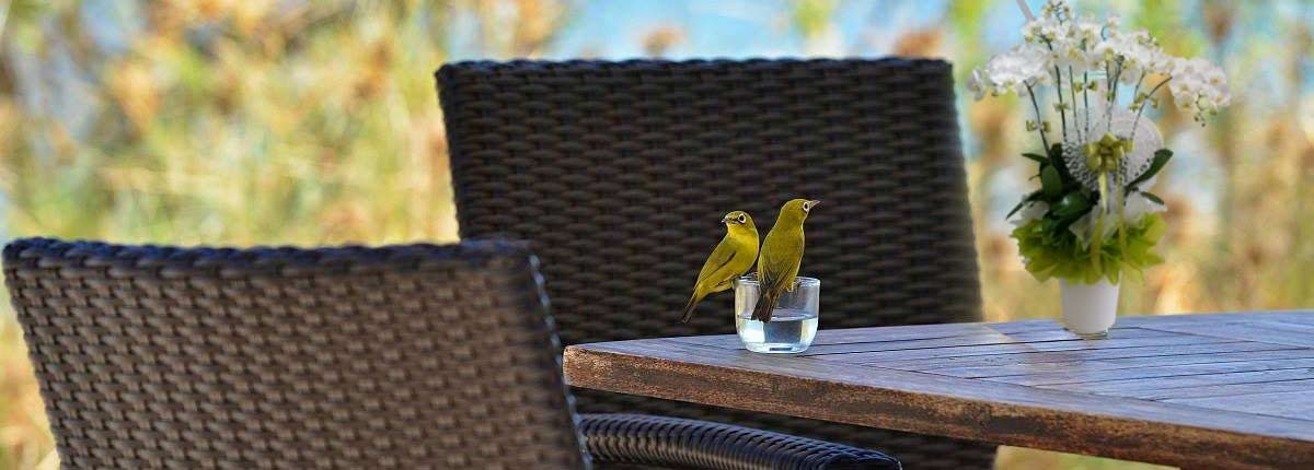 Nature at Angel Island Resort, Komodo, Indonesia