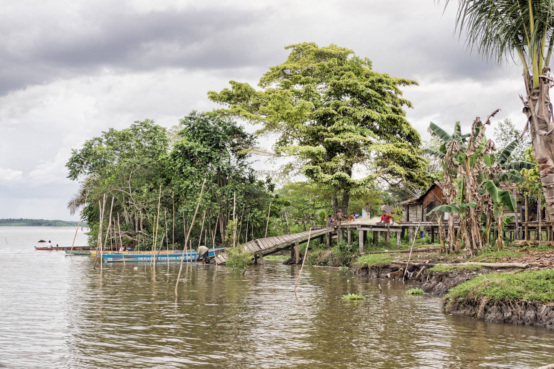 Asmat house