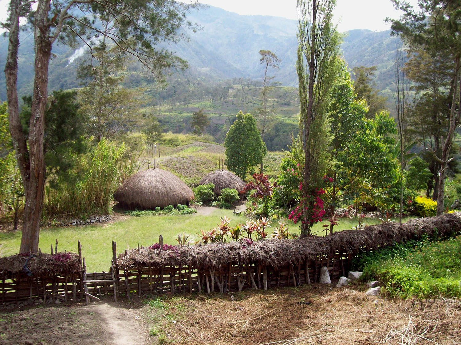 Trekking through the scattered Baliem Valley villages