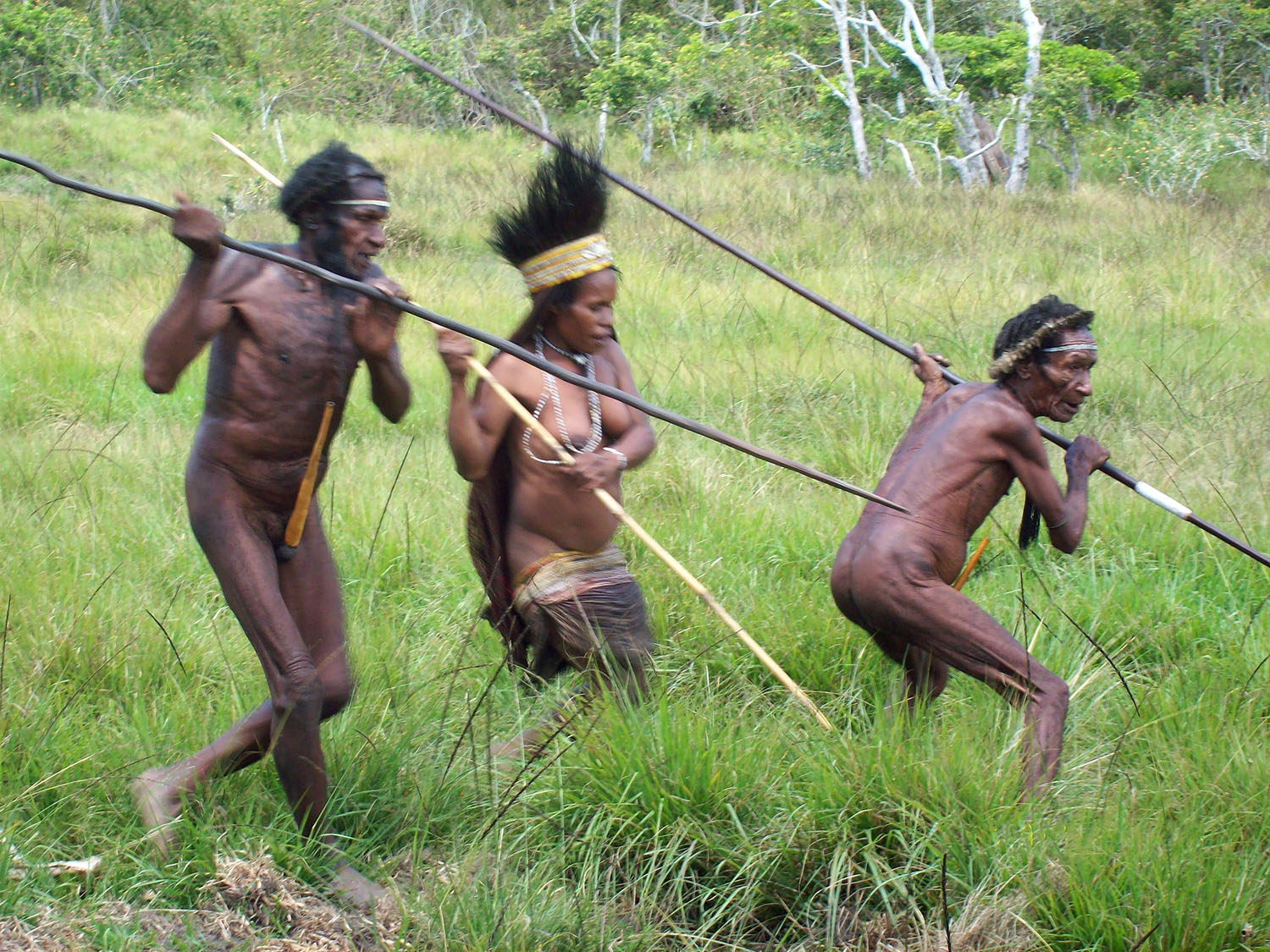Warriors of Baliem Valley
