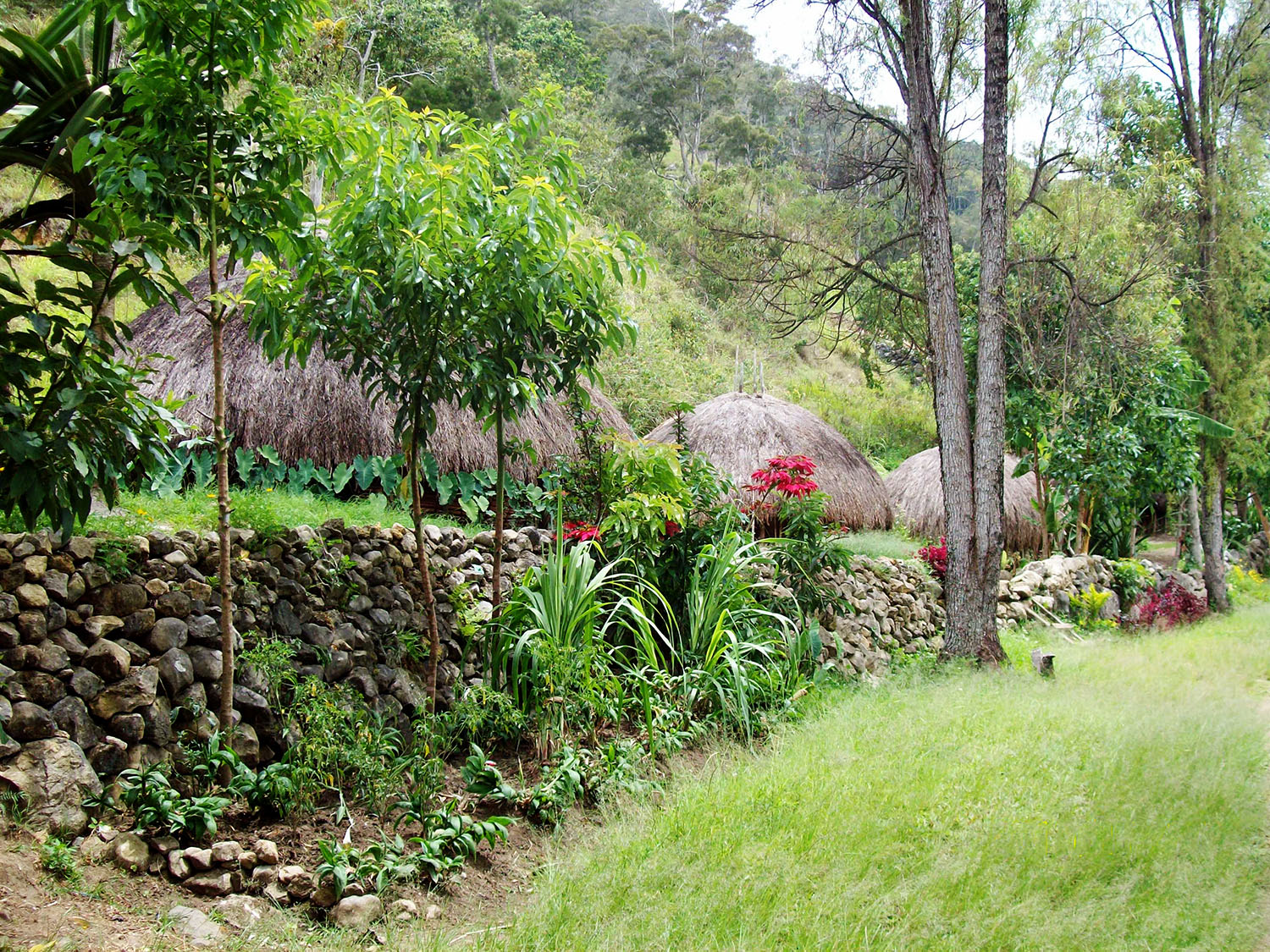 Picturesque villages along the Baliem Valley