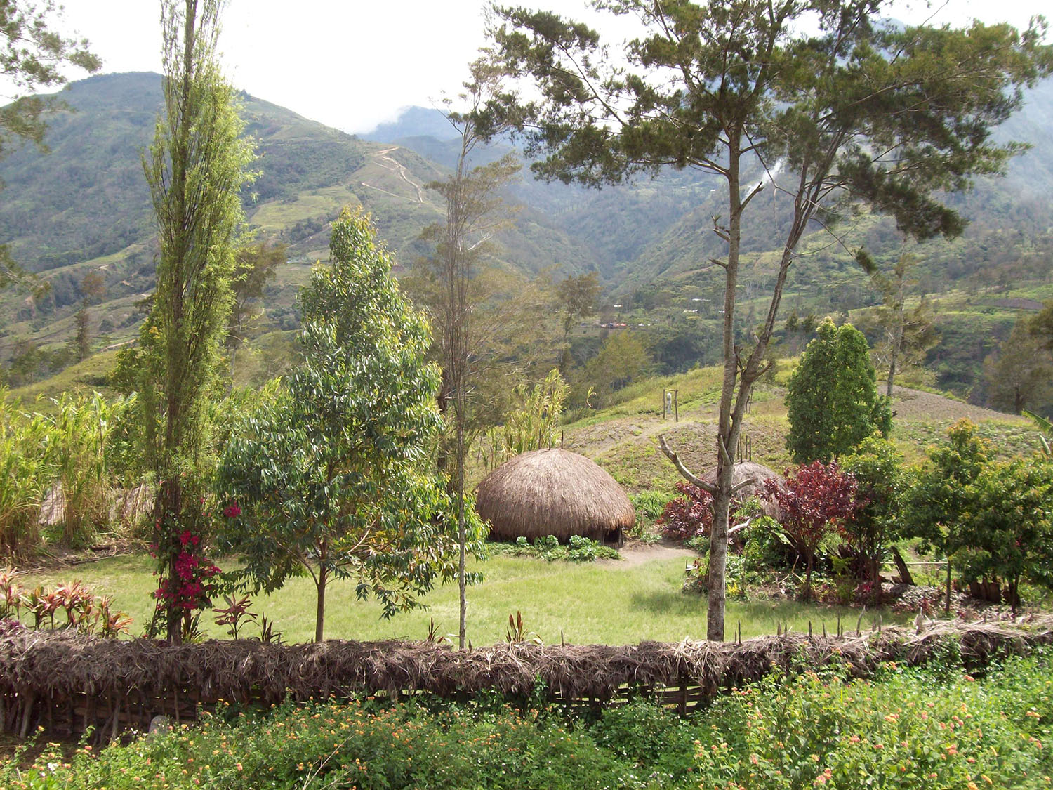 Typical villages along the Baliem Valley