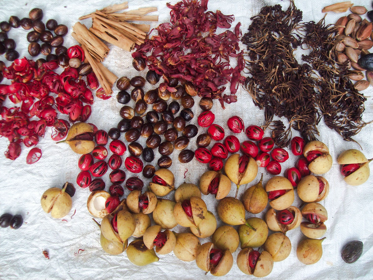 Nutmeg, mace, cinnamon and clove from the Spice Islands