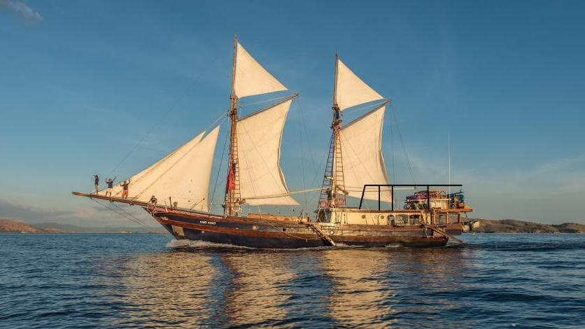Carpe Diem cruises for divers in Indonesia