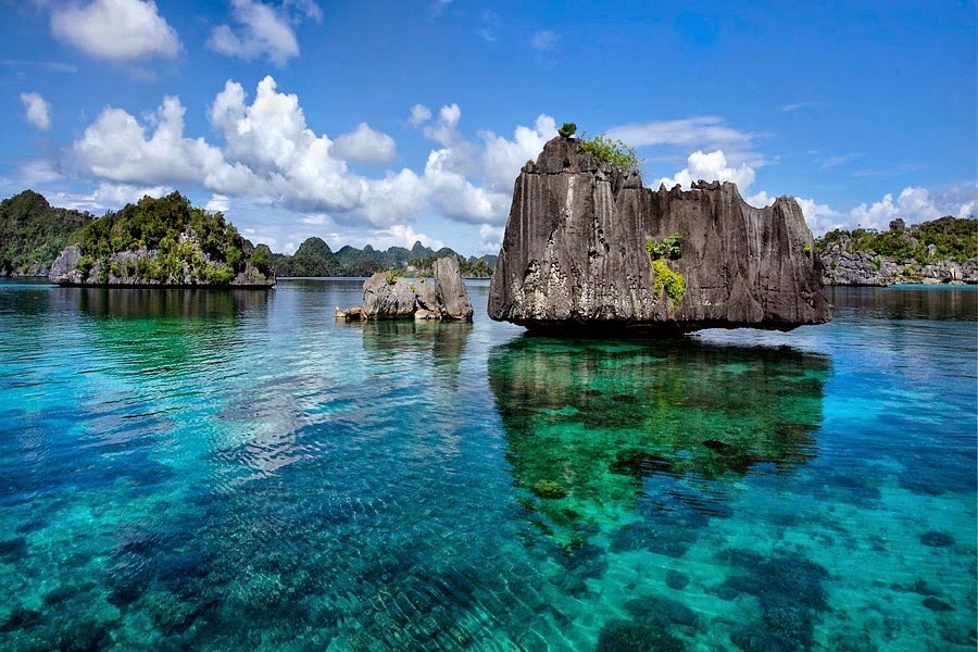 Carpe Diem dive cruises in Raja Ampat Indonesia