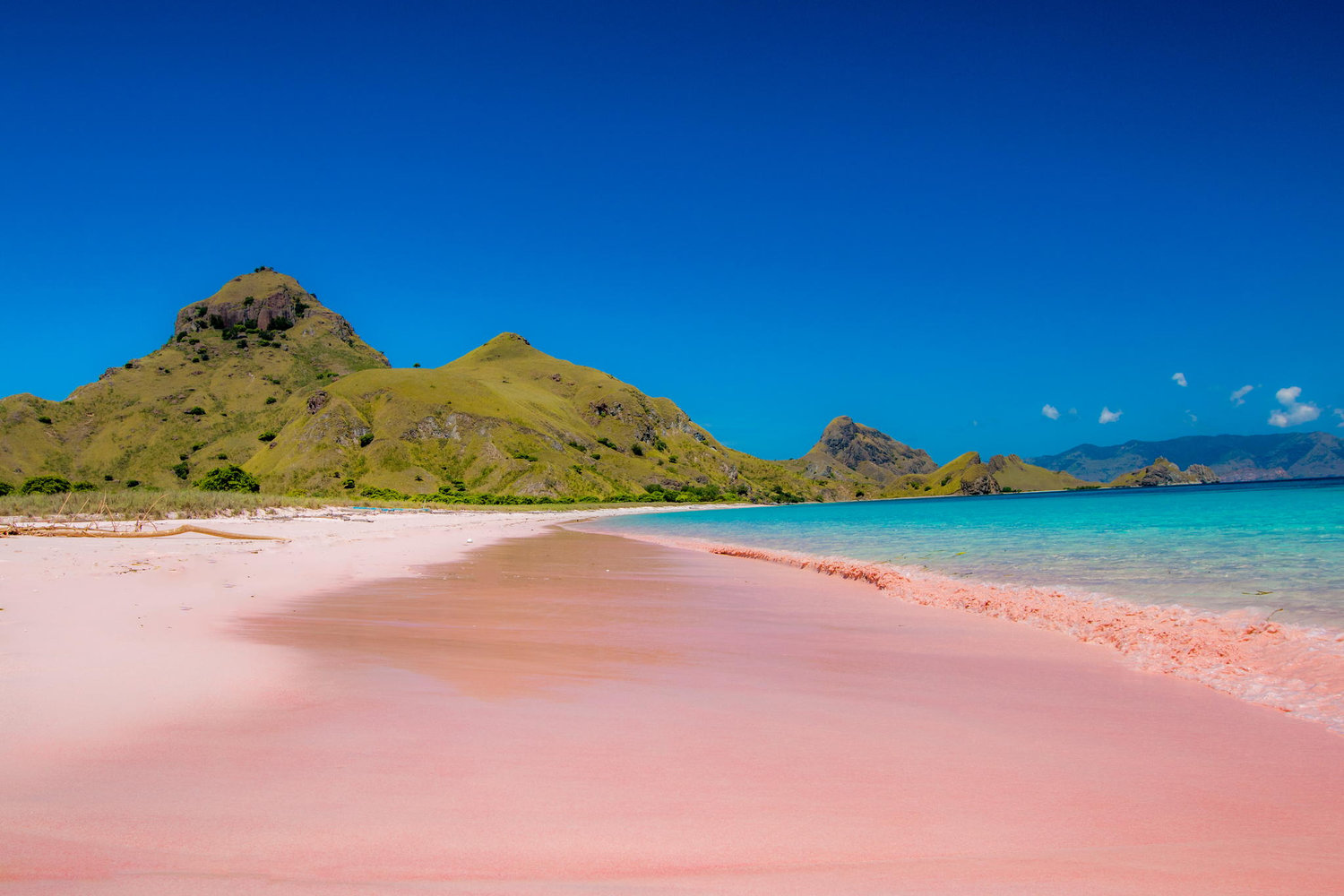 Carpe Diem dive cruises in Komodo Indonesia