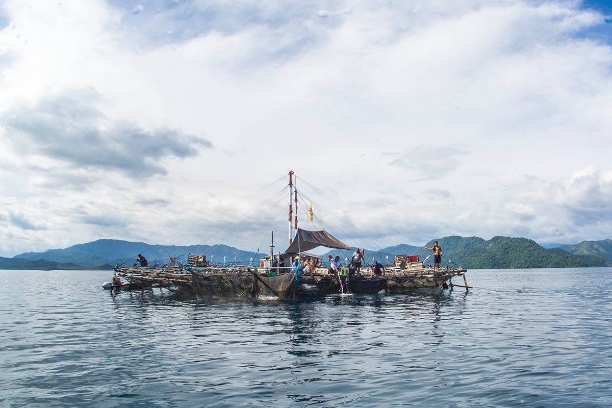 Fishermen on bagan in Cenderawasih Bay