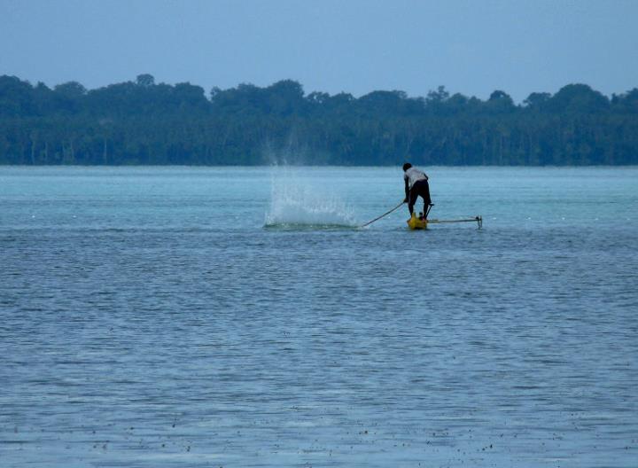 Traditional fishing in Cenderawasih Bay