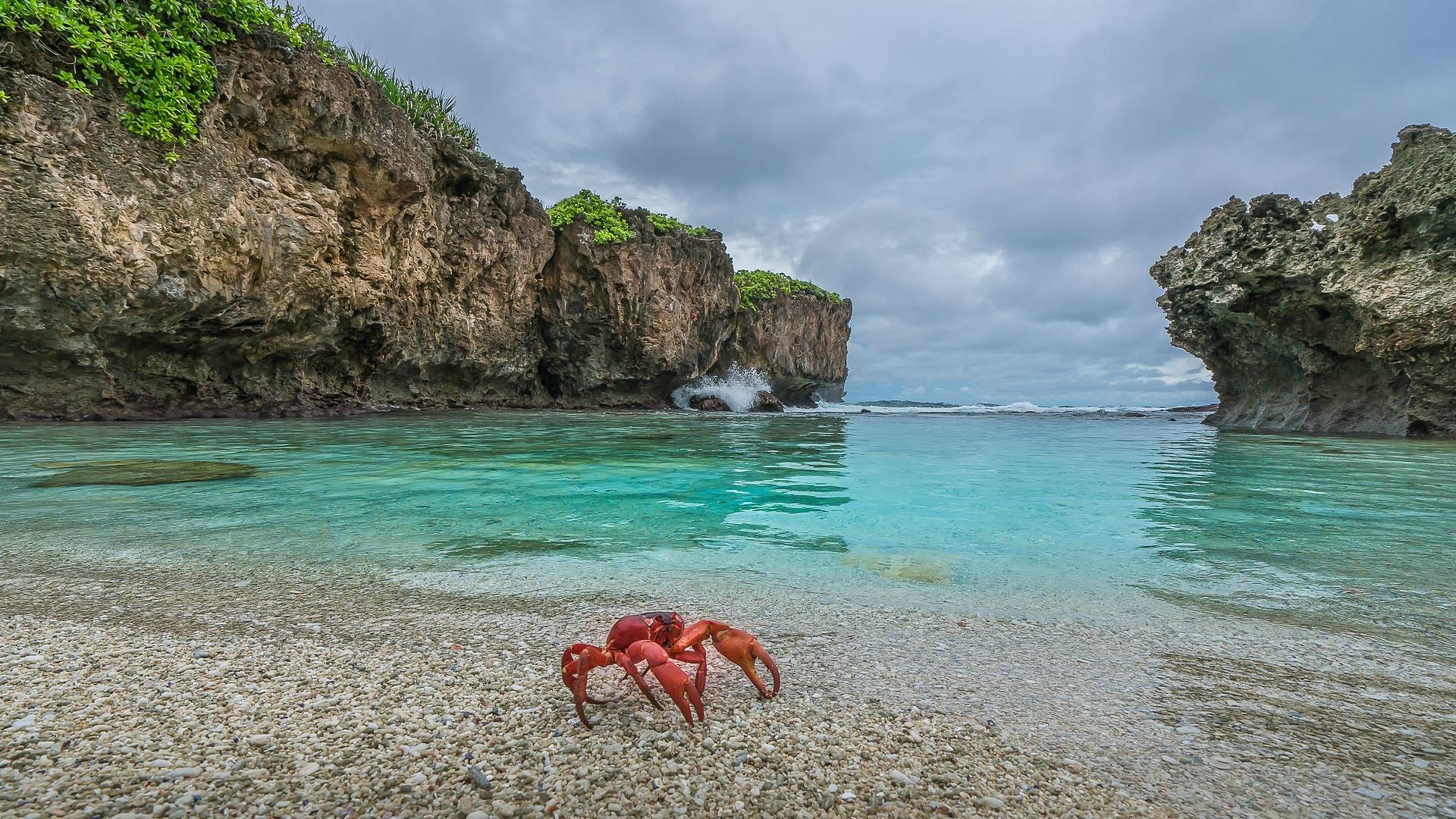 Beach at Christmas Island 