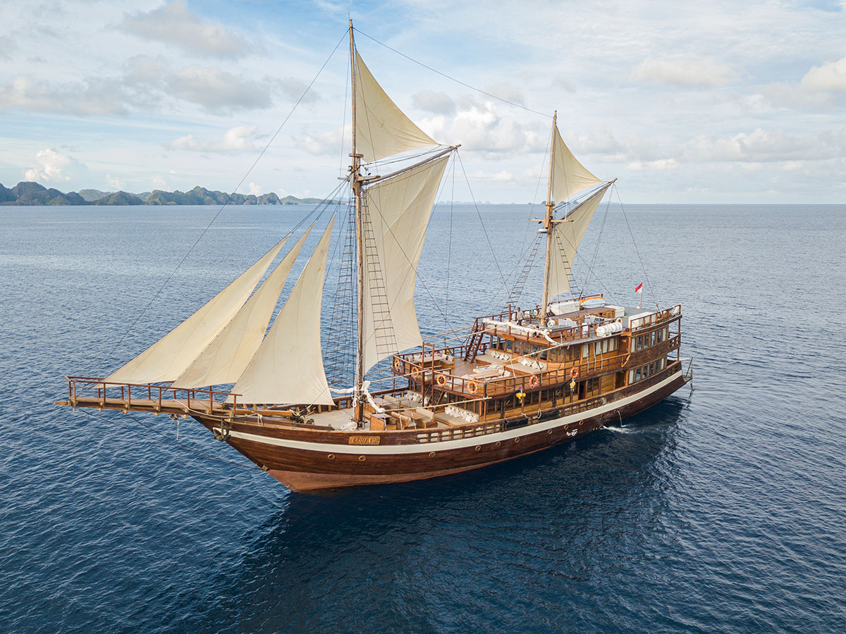 Coralia Liveaboard dive cruises in Komodo