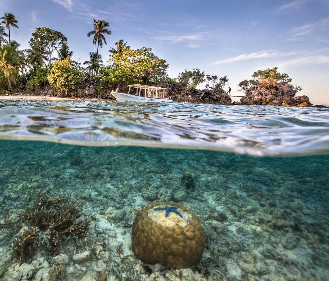 House reef at Cove Eco Resort, Raja Ampat