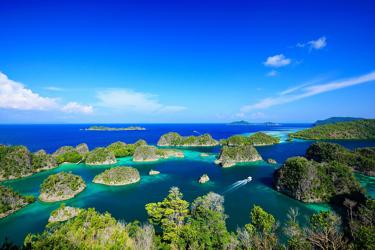 Pyanemo excursions at Cove Eco Resort, Raja Ampat