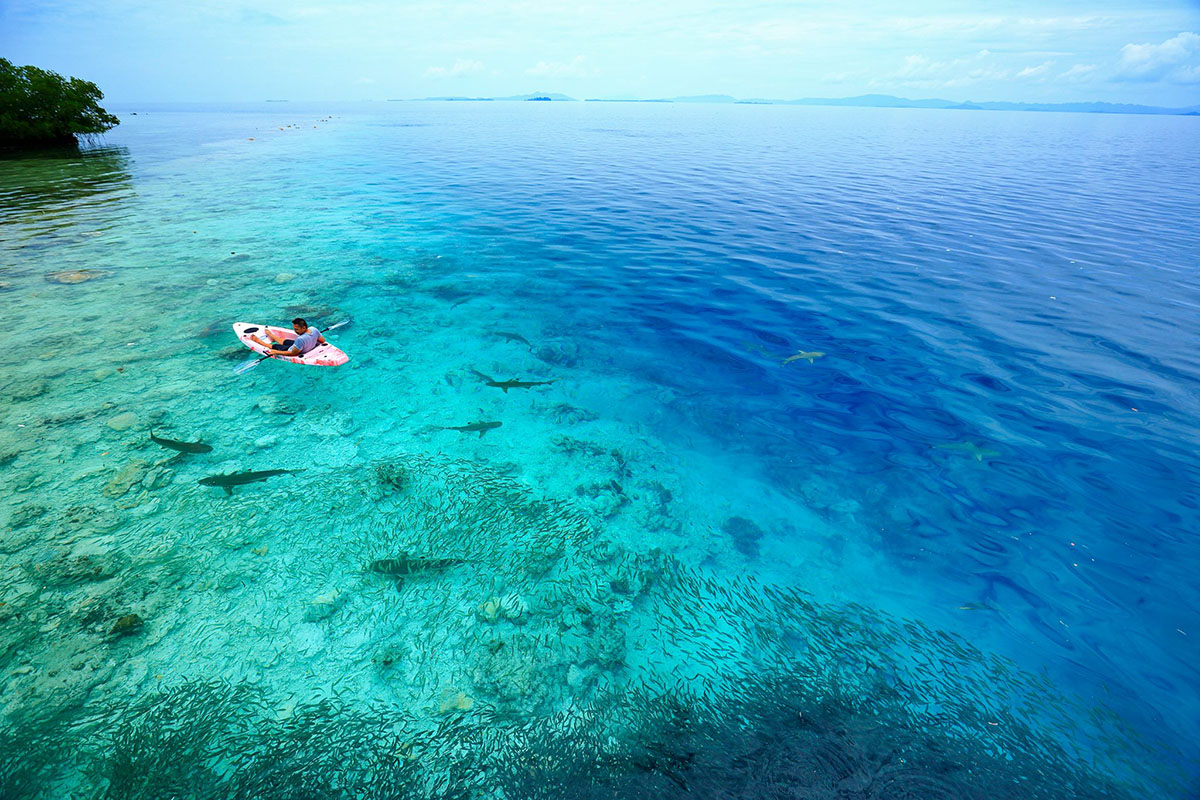 Kayaking in shark sanctuary at Cove Eco Resort, Raja Ampat