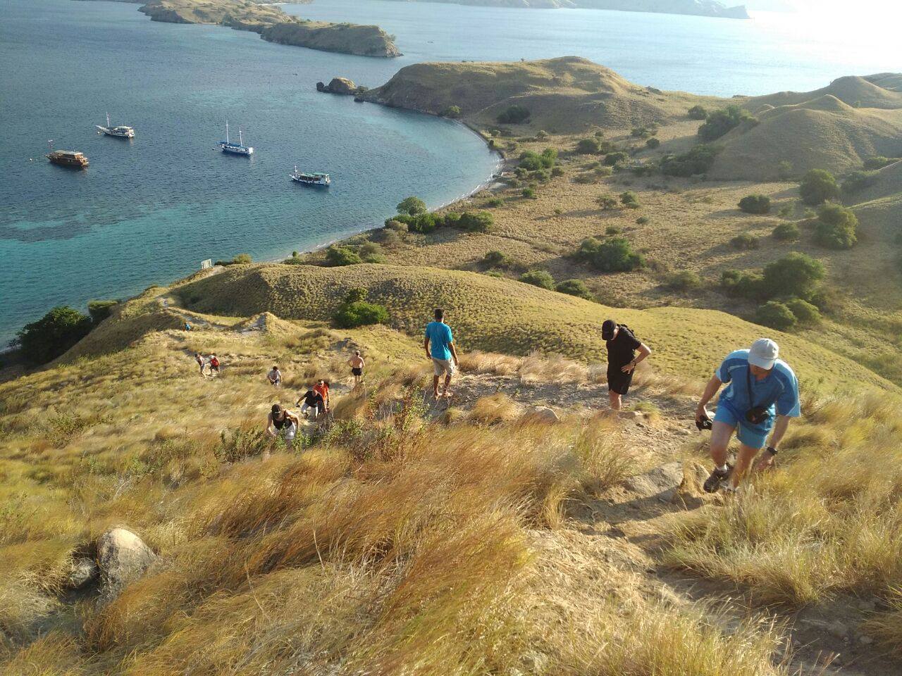 Dune Aurora private charters in Komodo