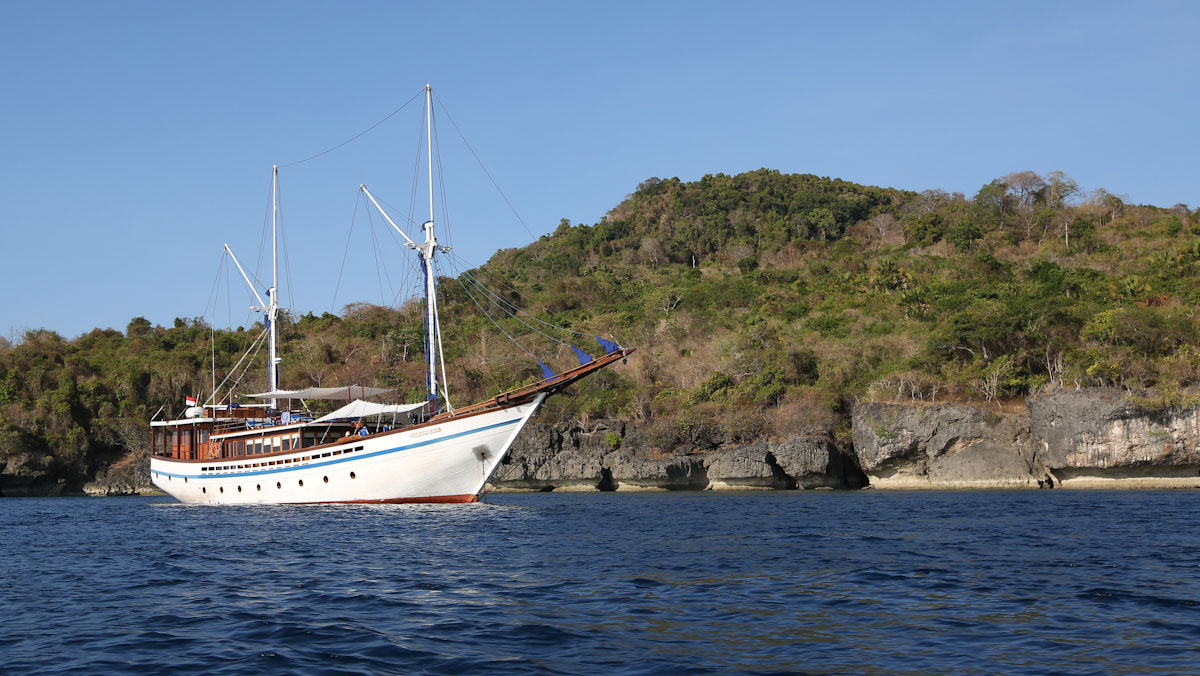 Samambaia Liveaboard in Forgotten Islands
