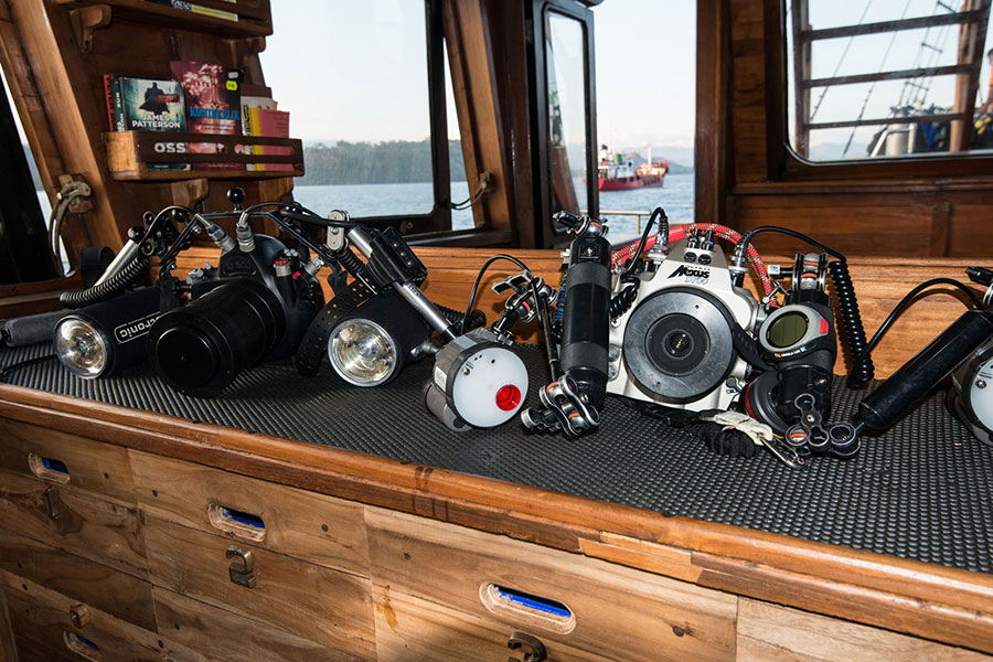 Ilike cruises for divers in Indonesia