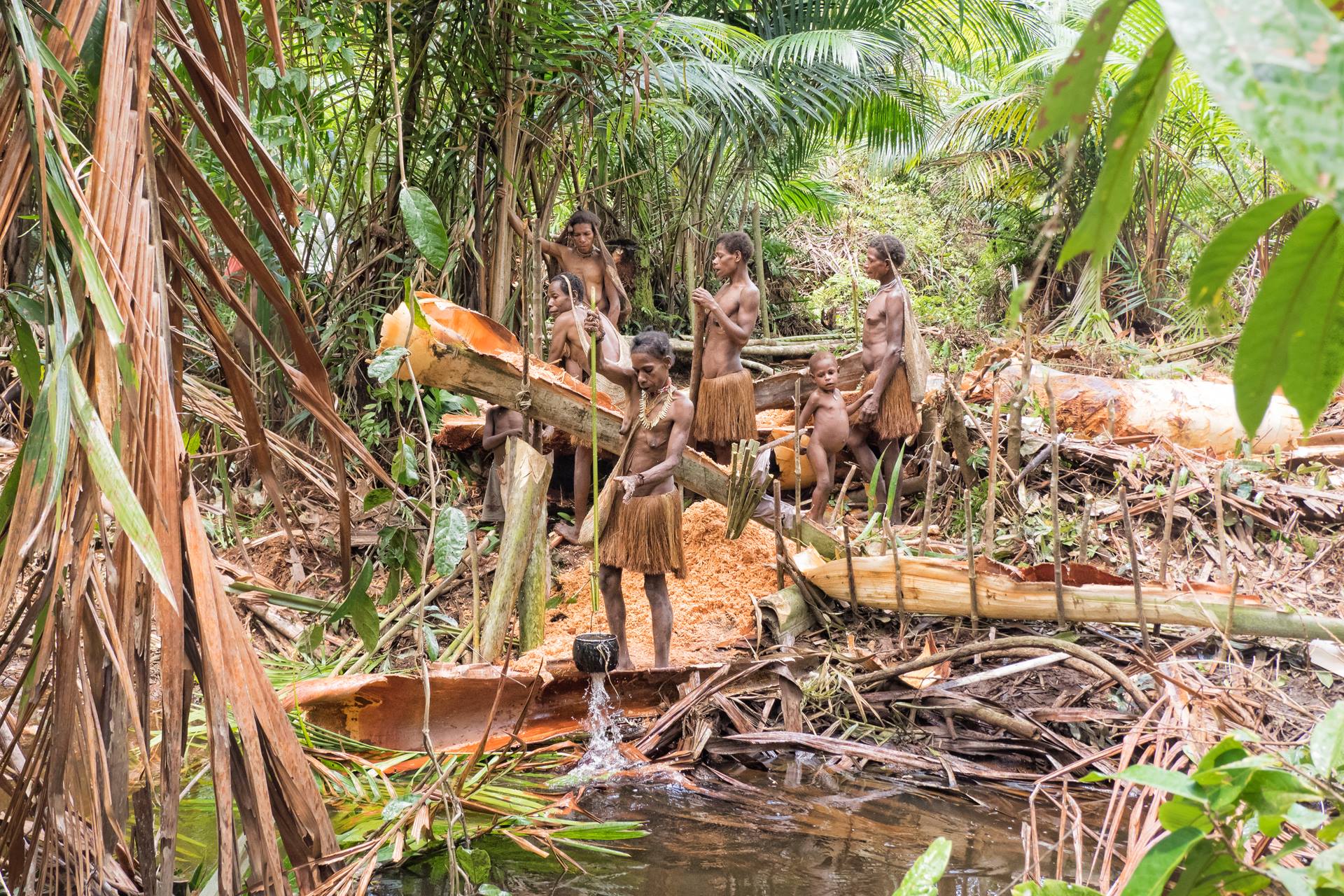 Korowai nomads