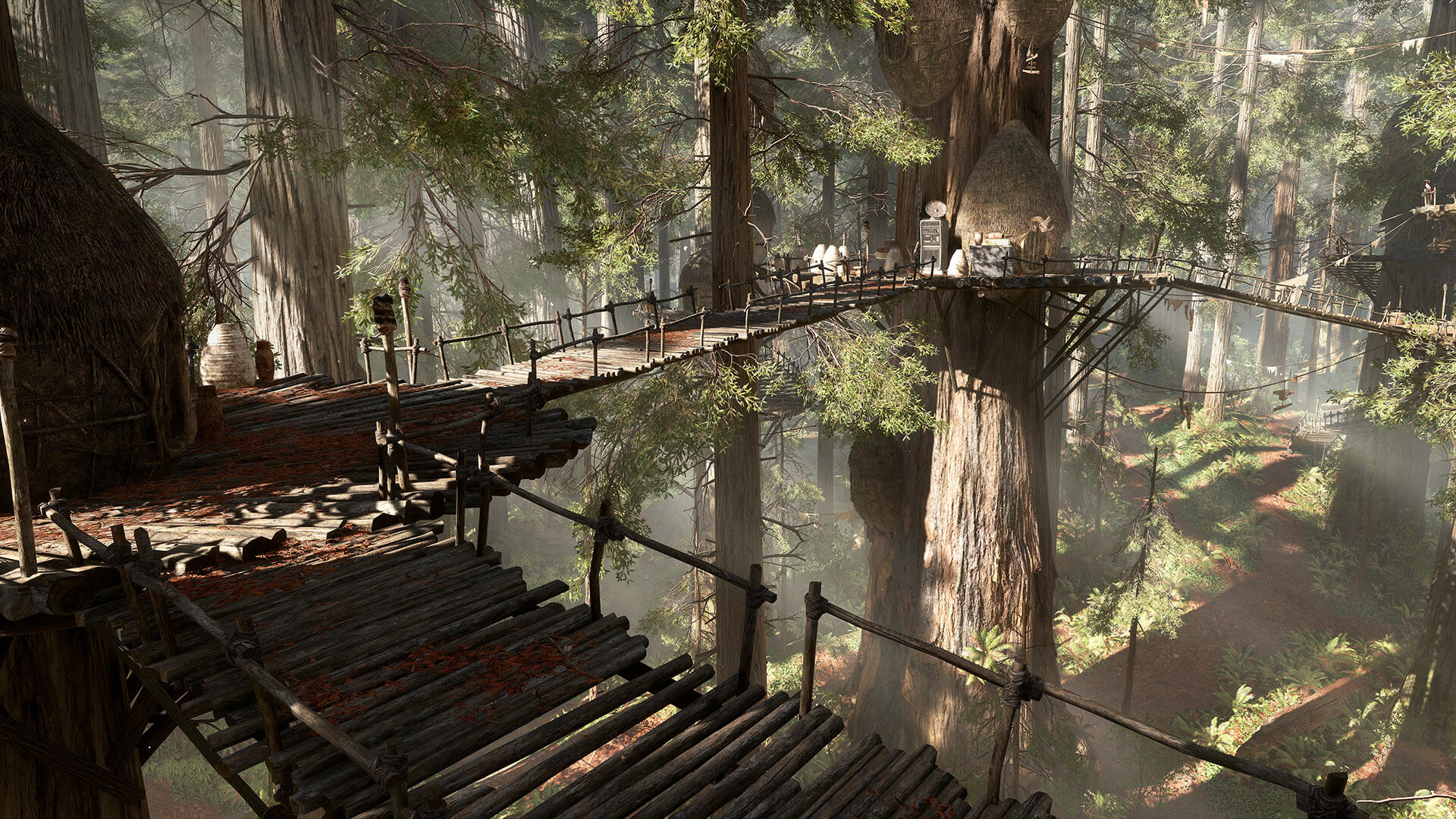 Korowai tree house
