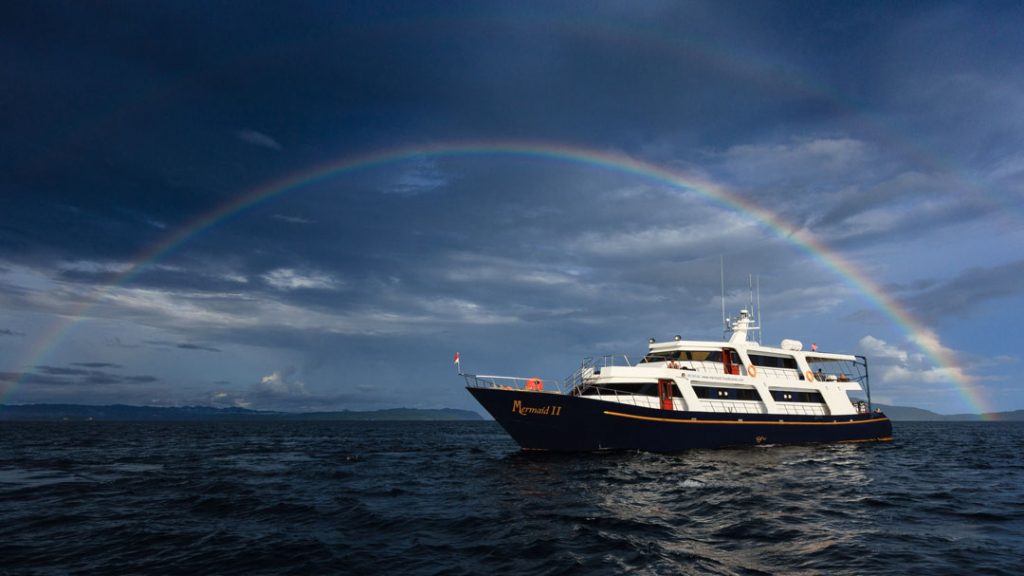 Dive cruises in Banda Sea with Mermaid Liveaboard