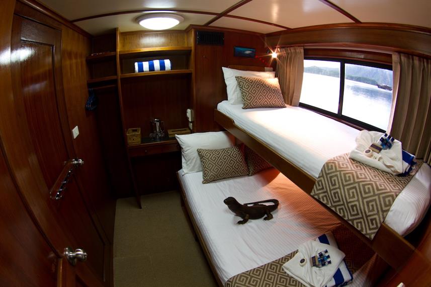Dive cruises in Indonesia with Mermaid Liveaboard