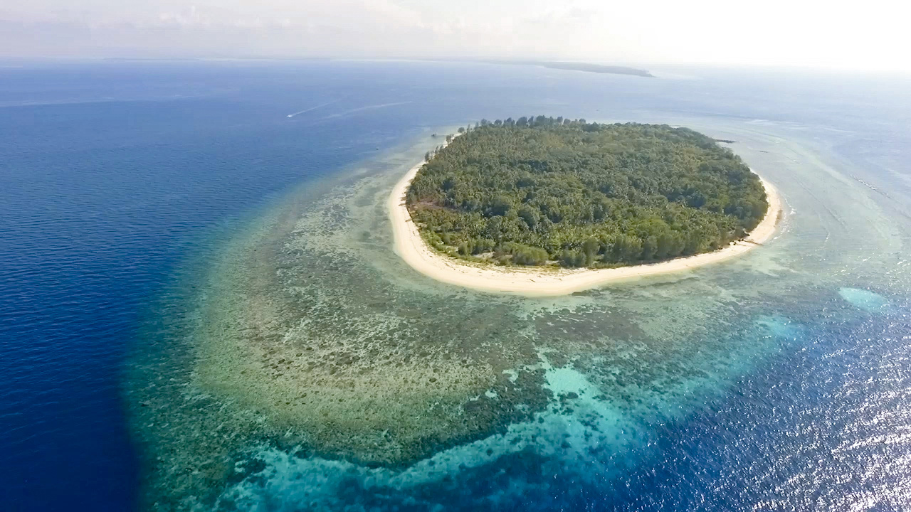 House reef of Metita Resort in Halmahera, Indonesia