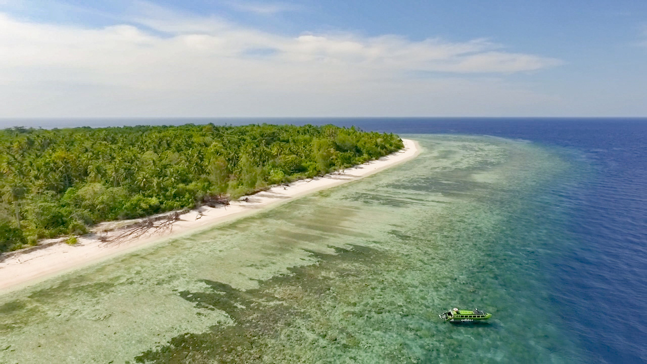 House reef of Metita Resort in Morotai, Indonesia