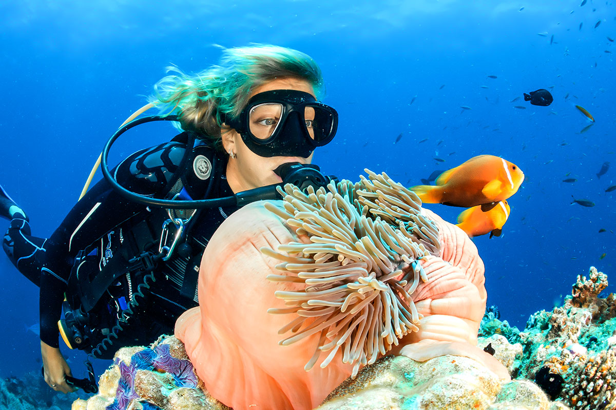 Clownfish and diver at Metita Resort
