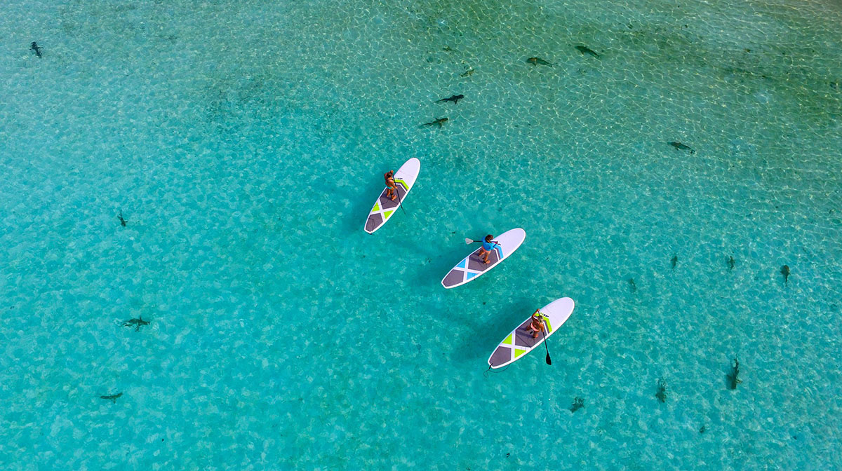 SUP experience at Misool Eco Resort baby shark lagoon