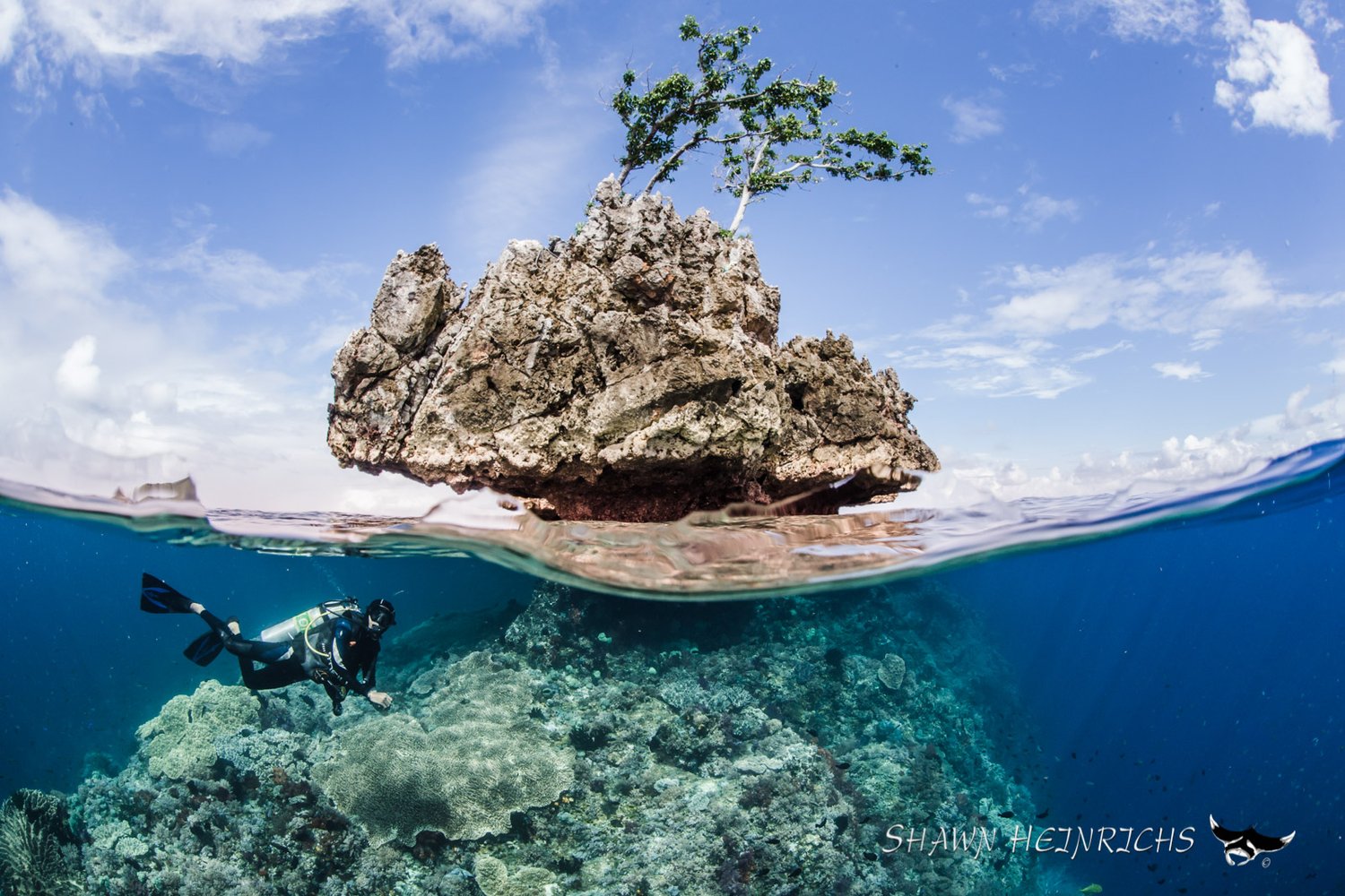 Diving at Misool Eco Resort